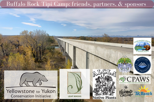 Exciting Updates for Buffalo Rock Tipi Camp and the PFAR Fish Rescue!